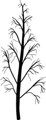 Naklejka premium Black silhouette of tree with bare branches without leaves isolated on white background