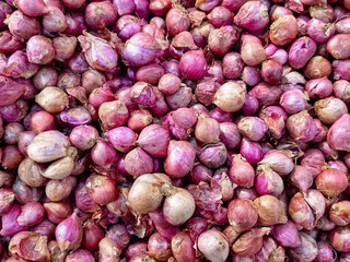 Abundant harvest of fresh organic red shallots creating a textured food background, a staple ingredient for cooking