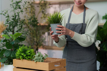 Plant Care. Woman holding a potted plant in a cozy indoor setting.