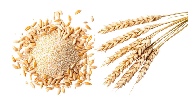 Barley Grains and Barley Powder Overhead Side by Side on Transparent Background - Powered by Adobe