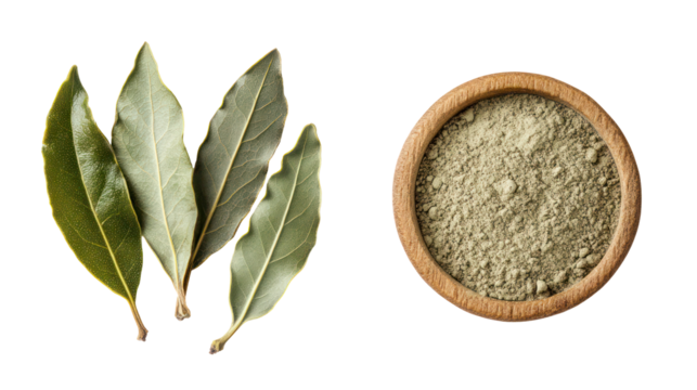 Dried olive leaves and olive powder in a wooden bowl isolated on transparent background