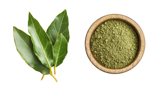 Fresh green leaves and dried herbs in a wooden bowl isolated on transparent background