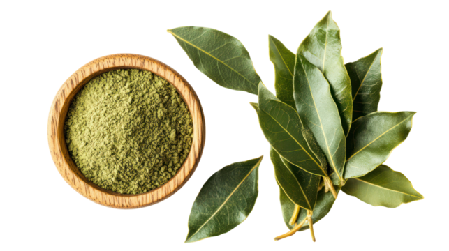 Dried bay leaf powder in a wooden bowl with fresh bay leaves isolated on transparent background