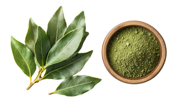 Fresh bay leaves and dried ground bay leaf spice isolated on transparent background - Powered by Adobe