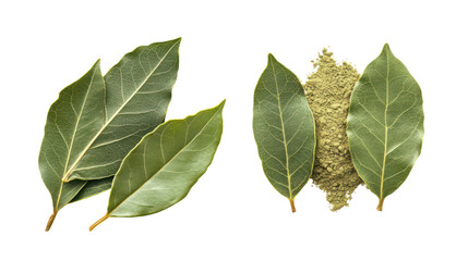 Obraz premium Two bay leaves and dried bay leaves isolated on transparent background