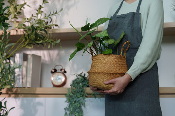 Plant Care. Individual holding woven basket with greenery indoors.
