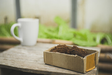 Concept Zero Waste Spent coffee grounds for use as organic fertiliser. The close up of recycled coffee waste in cardboard box with mug, leafy greens blur in the sustainable urban garden background.
