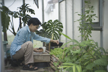 Sustainable urban gardener repurposing spent coffee grounds as organic fertiliser for fresh leafy greens. Eco-friendly DIY composting recycling food waste the growing trend of home vegetable farming.