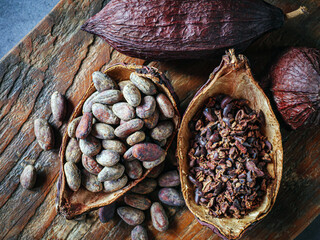 Close-up of brown cocoa beans and cocoa nibs with dry cacao pod