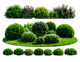 Digitally created collection of dense, verdant, landscaped shrubbery and greenery