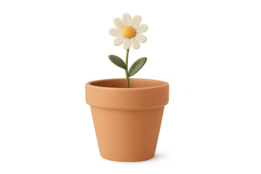 3d blooming daisy growing in terracotta pot
