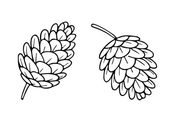 Fototapeta premium Pine cones, one with a small stem. Black and white line art. Stylized vector outlines, perfect for coloring pages, winter holidays, nature themes, craft projects, and seasonal decorative elements.