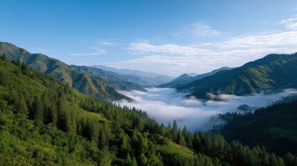Obraz premium Early Morning Ridge Wrapped in Soft Blanket of Fog with Lush Green Landscape