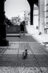 Fototapete bei efototapeten.de bestellen   