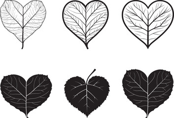 Obraz premium Heart-shaped leaves in black and white, with a subtle texture and a simple background.
