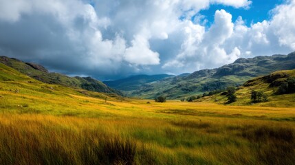 Fototapeta premium Serene Landscape of Rolling Hills and Golden Grass Fields Under Dramatic Cloudy Sky with Mountain Backdrop in Rural Environment