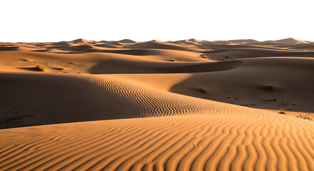 Golden sand dunes sculpted by wind under a dark night sky in a vast desert landscape