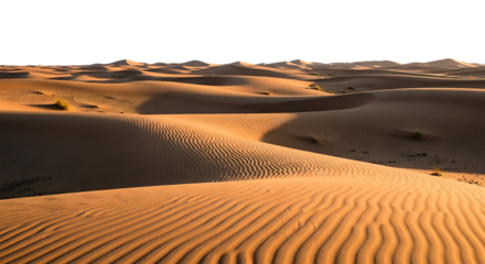 Golden sand dunes sculpted by wind under a dark night sky in a vast desert landscape