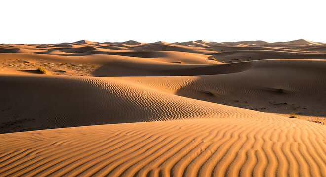 Golden sand dunes sculpted by wind under a dark night sky in a vast desert landscape