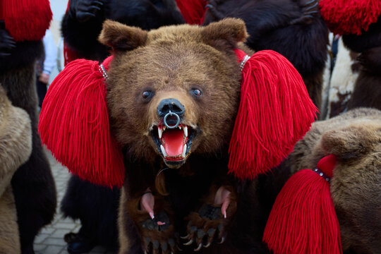 the festival of winter customs and traditions from Comanesti, Bear Dance, Bacau, Romania