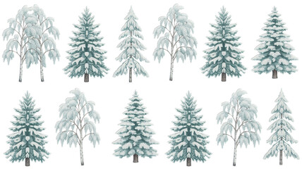 Captivating winter trees collection featuring snow-covered firs and birch, perfect for holiday designs