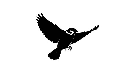 Silhouette of a bird in flight with wings spread wide.