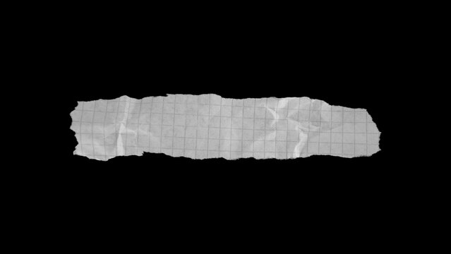 Pieces Of Paper 08