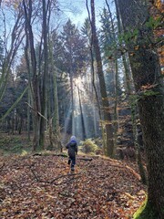 Kind im Sonnenlicht auf einer Lichtung im Herbst