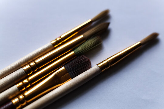 Paint brushes on a white background. Close-up photo.