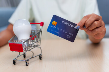 Shopping cart transaction credit card use for lightbulb purchase in modern home environment