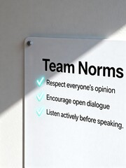 A close-up view of a whiteboard outlining 'Team Norms' for creating a respectful, collaborative, and inclusive environment, promoting a 'Safe Space' for dialogue.