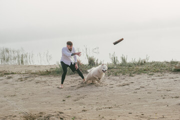 man playing with his cute samoyed dog at the lake during sunset