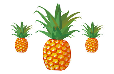 Fototapeta premium Fresh pineapple fruit illustration, summer pineapple fruit theme. Summer design for holiday promotion and printed on clothing.