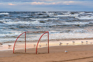 Seagulls gather near a beach soccer goal at sunset with crashing waves in the background