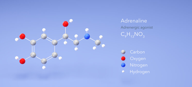 Adrenaline molecule, molecular structure, adrenergic agonist 3d model, Structural Chemical Formula and Atoms with Color Coding