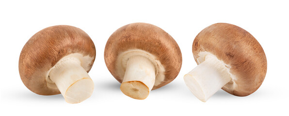 Fresh champignon mushrooms isolated on transparent png ( image from camera )