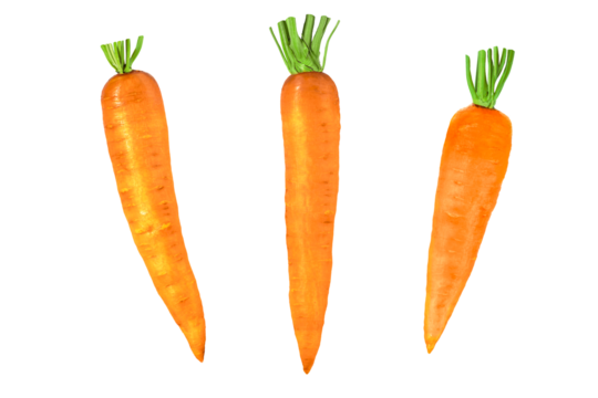 Fresh raw carrot with short green stem isolated on transparent background. Bright orange vegetable, edible root