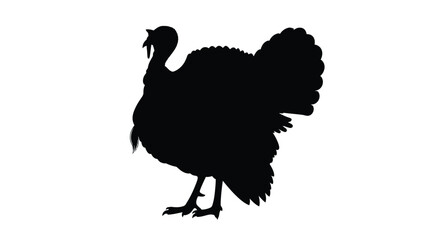 A striking black silhouette of a majestic turkey in profile view