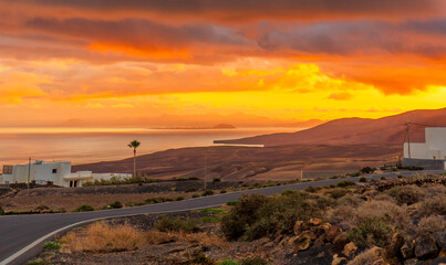 Fiery Sunset over Coastal Plain with Palm
