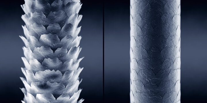 Hair damage reversal and repair. High vs. Low Porosity Strands Before & After targeted protein treatment