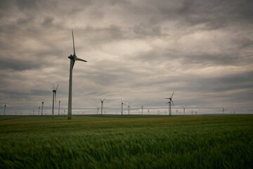 wind farms in Dobrogea in the warm sunlight