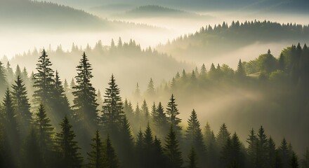 Golden rays pierce through a mystical morning fog, illuminating a serene evergreen forest nestled among rolling mountain peaks, creating a breathtaking panoramic landscape