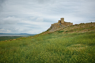The medieval fortress of Enisala in spring