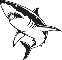cartoon shark vector illustration on white background