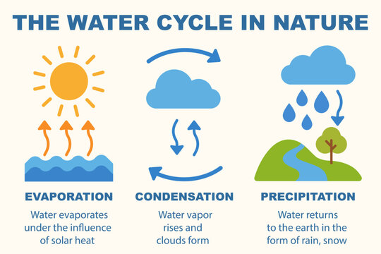 Infographic about the water cycle in nature for educational materials.