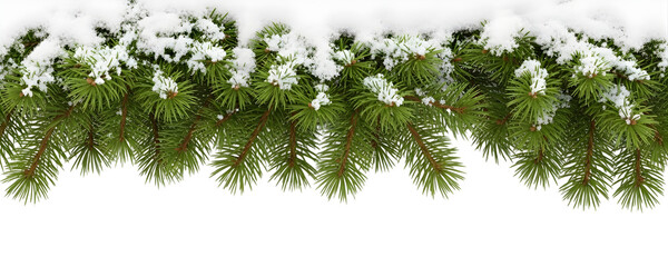 Realistic Christmas Pine Branches Top Border with Heavy Snow and Frost Isolated on Transparent Background for Winter Wonderland Design and Greeting Card