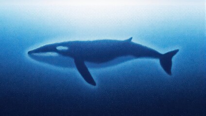 Fototapeta premium Majestic Blue Whale Swimming Gracefully in the Deep Ocean Waters.