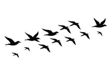 Fototapeta premium A flock of black birds is flying in formation against a transparent background