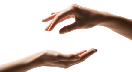 Hands gently creating a space for something special, conveying protection, presentation, or offering with care, perfect for showcasing products or concepts with a delicate touch