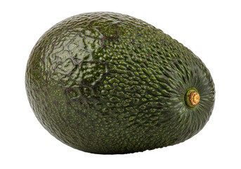Dark green Hass avocado isolated PNG, whole fruit with bumpy skin and stem end, healthy food ingredient on transparent background
